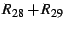 $R_{28}+R_{29}$