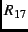 \( R_{17} \)