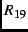 \( R_{19} \)