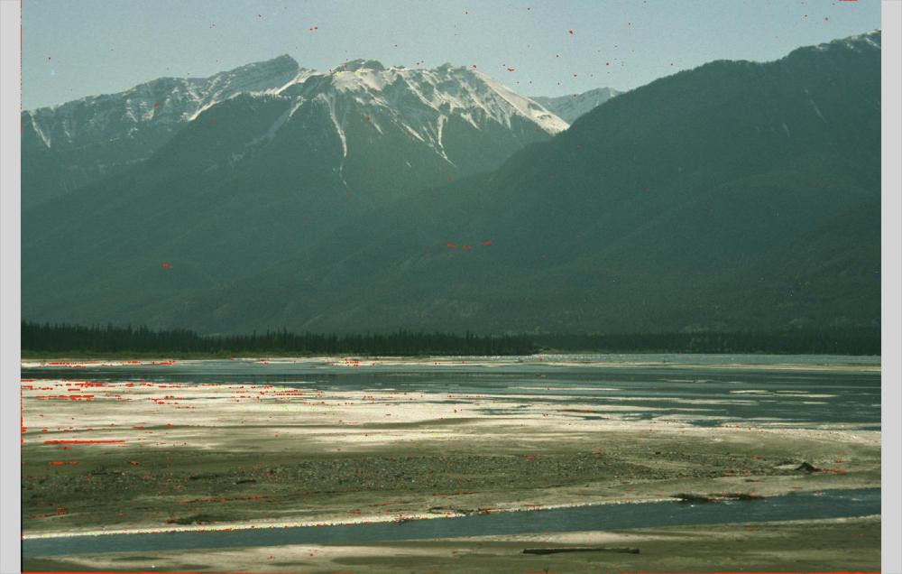 nikon_ls5000/thumbs/kodachrome_ir_kanal.jpg.jpg