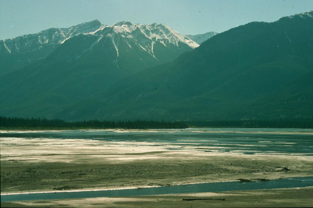 nikon_ls5000/thumbs/kodachrome_ohne_infrared_cleaning.jpg.jpg