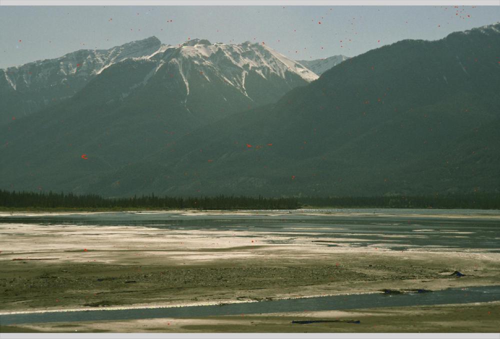 nikon_ls9000/thumbs/kodachrome_ir_kanal.jpg.jpg