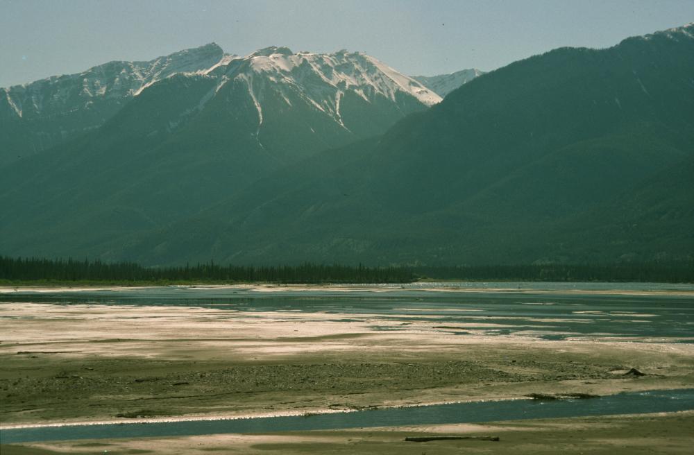 nikon_ls9000/thumbs/kodachrome_ohne_infrared_cleaning.jpg.jpg